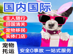 长治王村机场邮寄国际宠物托运 【国